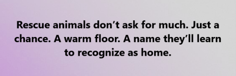 1748010067932.png