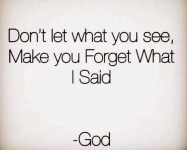1748010116686.png
