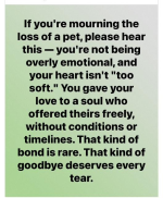 1748010752136.png