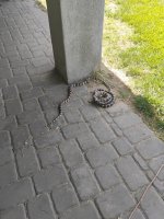 IMG_0809.jpeg