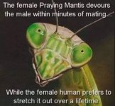 1748124335466.png