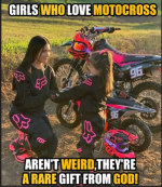 1748186461417.png