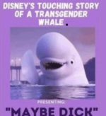 1748263033872.png