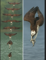 1748386755581.png