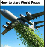 1748697211500.png