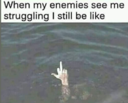 1748812334627.png