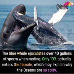 1748972256717.png
