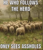 1749068632806.png