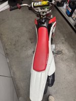 IMG_1204.jpeg