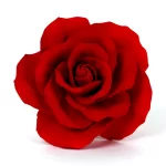 MSSX-RED---1_1800x1800.webp