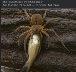 1749160697047.png