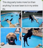 1749258752309.png