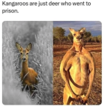 1749399626343.png