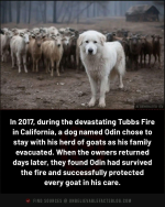 1749403576039.png