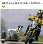 1749404893205.png