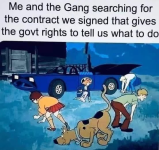 1749475780071.png