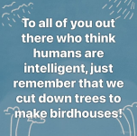 1749650949958.png