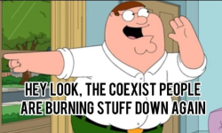 1749736412244.png