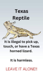 1749739117231.png