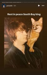 1749745829196.png