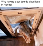 1749819309132.png