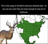 1749819772185.png