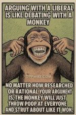 1749820499319.png