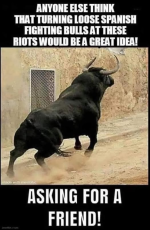 1749822064466.png