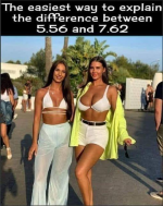 1749822698162.png