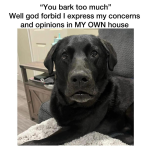 1749822780567.png