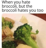 1750108554730.png