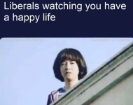 1750163443662.png
