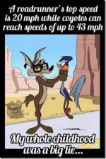 1750165552281.png 1750165552281.png