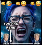 1750169160949.png