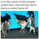 1750170512660.png
