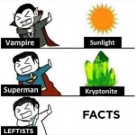 1750261259325.png