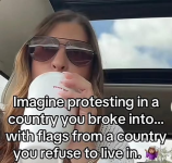 1750261774090.png