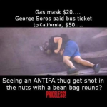 1750262388041.png