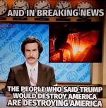 1750345891003.png