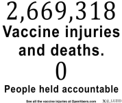 1750347435422.png