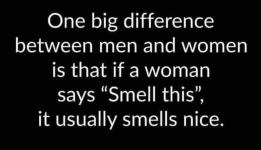 1750347627606.png