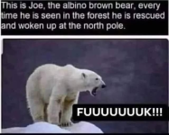1750348118512.png