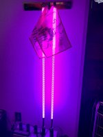 breast cancer whips.jpg breast cancer whips.jpg