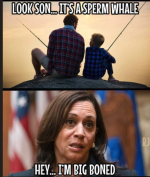 1750360047483.png