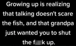 1750447275400.png