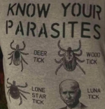 1750717073977.png