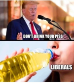 1750764511540.png