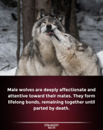 1750768207609.png