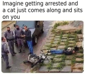 1750768321679.png