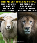 1750770362876.png